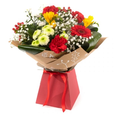 Oh Christmas Tree, Oh Christmas Tree