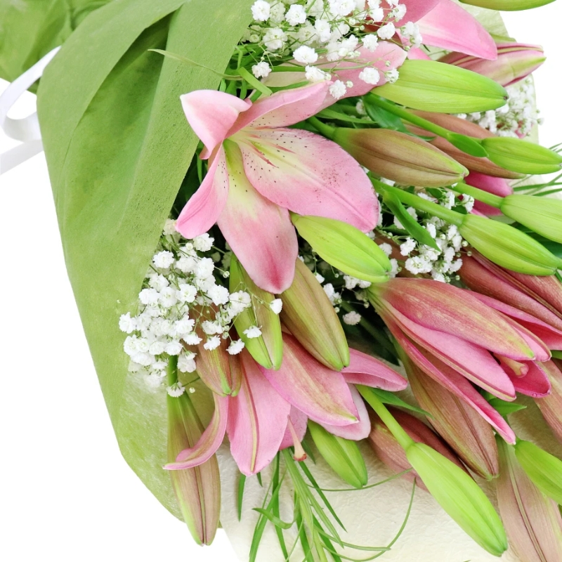 Mums Favourite Pink Flumps