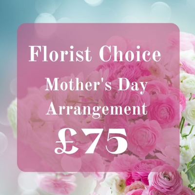 Mothers Day Florist Choice £75