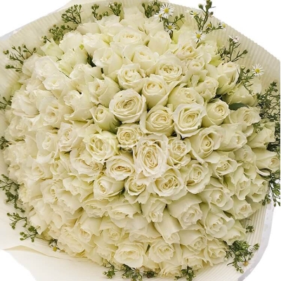 Vanilla creams 100 white roses