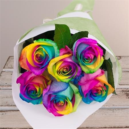 Rainbow  Roses