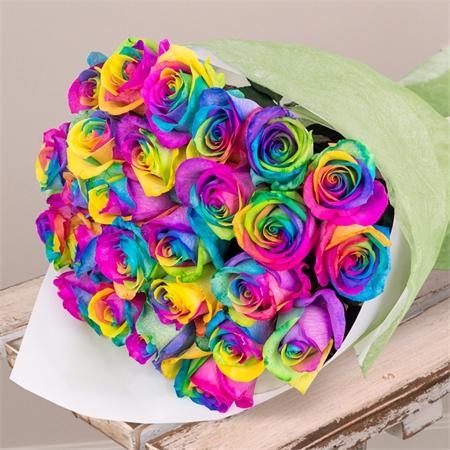 Rainbow  Roses