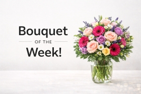 Bouquet Of The Week Or Month