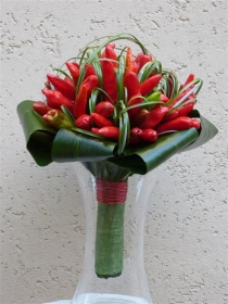 Whimsical, Weird and Wonderful Designs