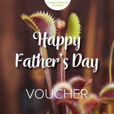 Fathers Day Gift Voucher