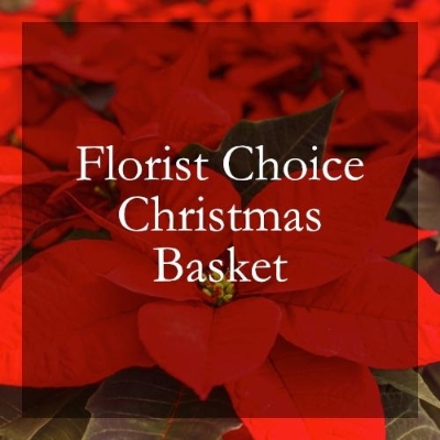 Florist Choice Christmas Basket