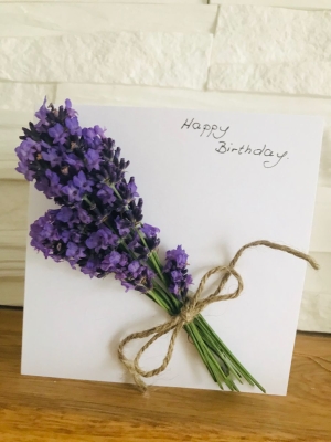 Lavender