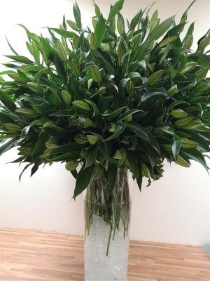 Millionaires Shortbread