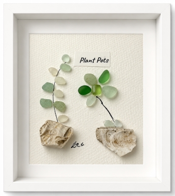 Plant Pots