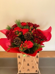 Oh Christmas Tree, Oh Christmas Tree