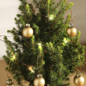 Tiny  Christmas Tree