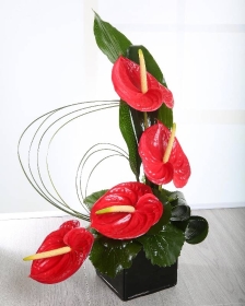 Floristry Level 3 Advanced