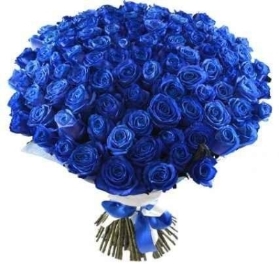 Blue Raspberry Drops