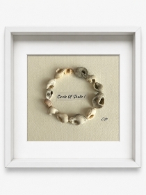 Circle Of Shells
