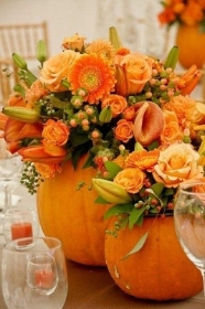 Pumpkin Patch