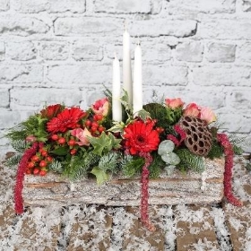 Yule Logs