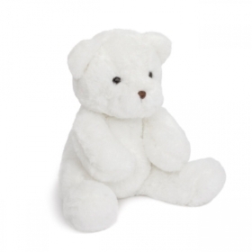 Teddy  Bear