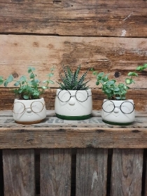 Candy Glasses