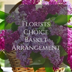 Basket Florists Choice