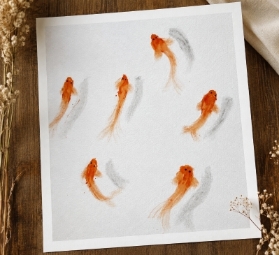 Koi Carp