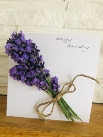 Lavender