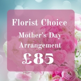 Mothers Day Florist Choice £85