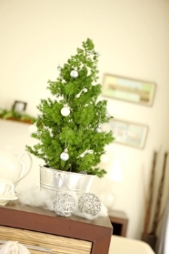 Oh Christmas Tree