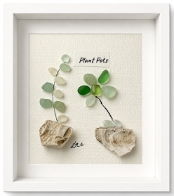 Plant Pots